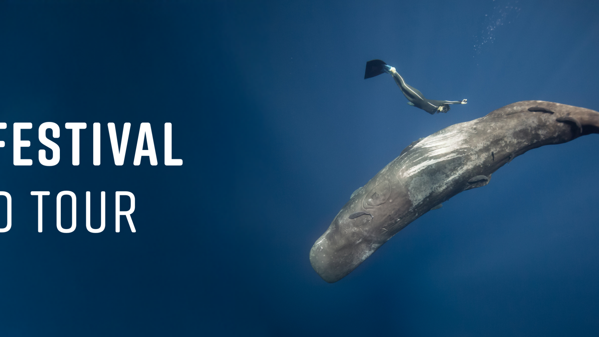 OCEAN FILM FESTIVAL WORLD TOUR MALLORCA 2025