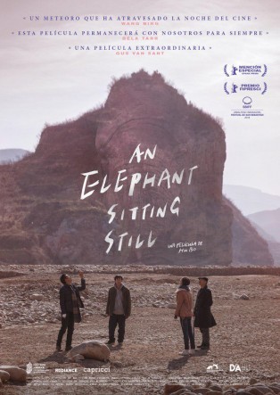 An elephant sitting still