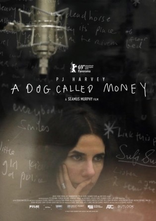 PJ Harvey: A dog called money