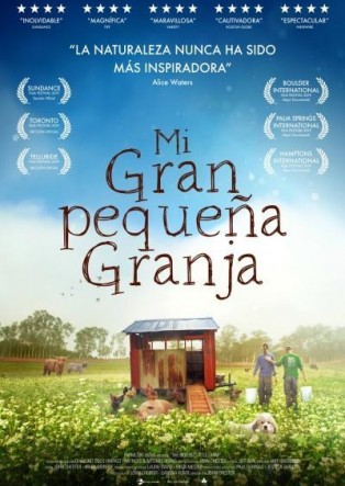 Mi gran pequeña granja