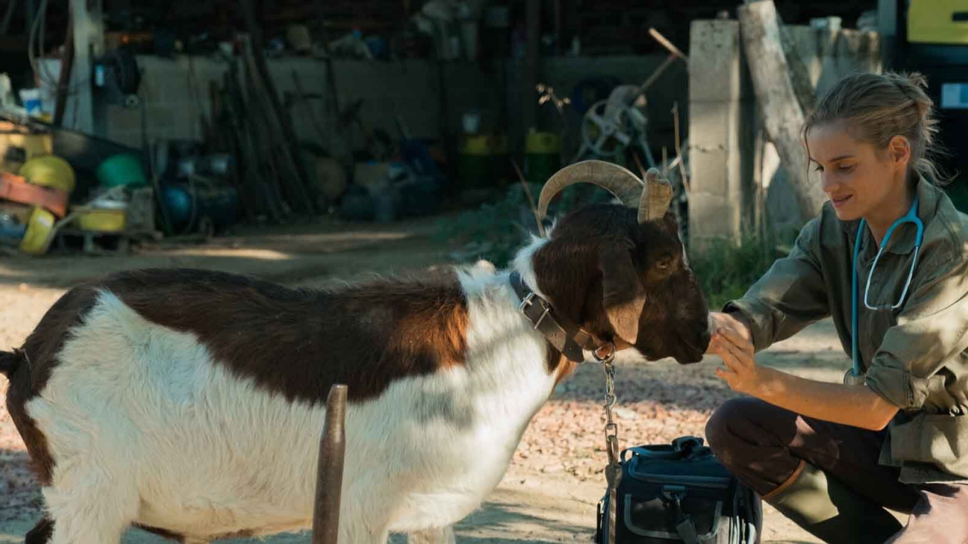 Una veterinaria en la Borgoña