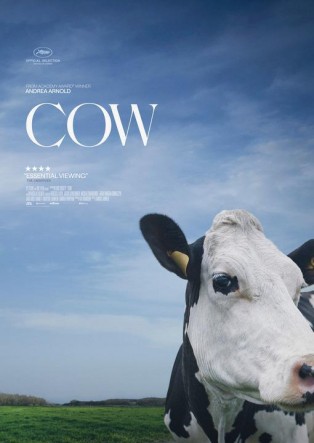 Vaca