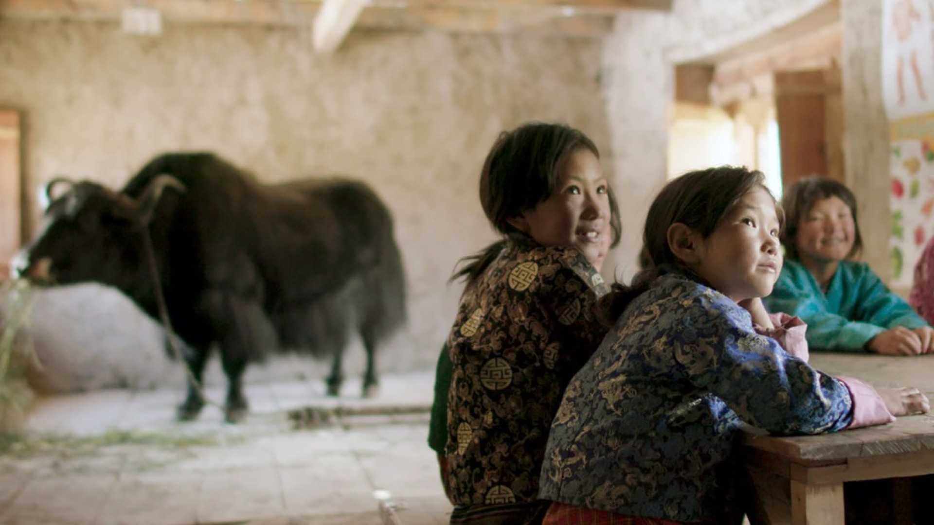 Lunana, un yak en la escuela