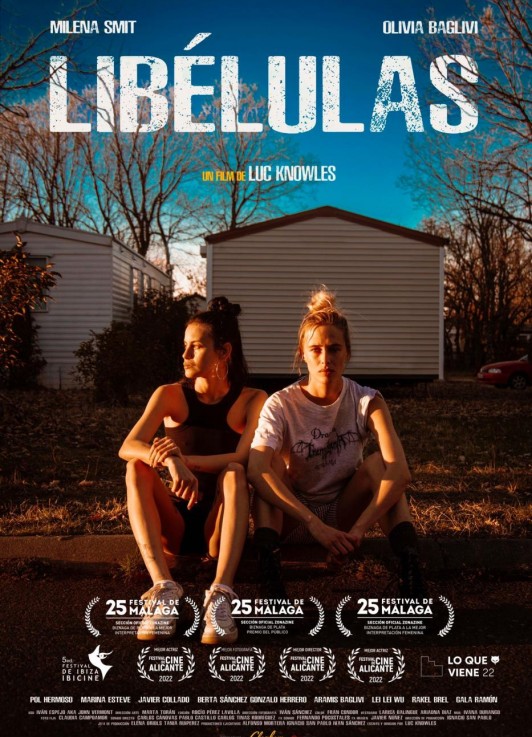 Libélulas