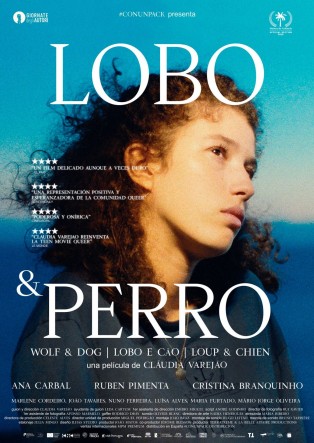 Lobo & Perro
