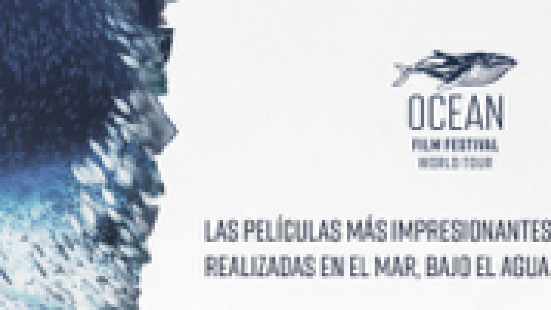 OCEAN FILM FESTIVAL WORLD TOUR