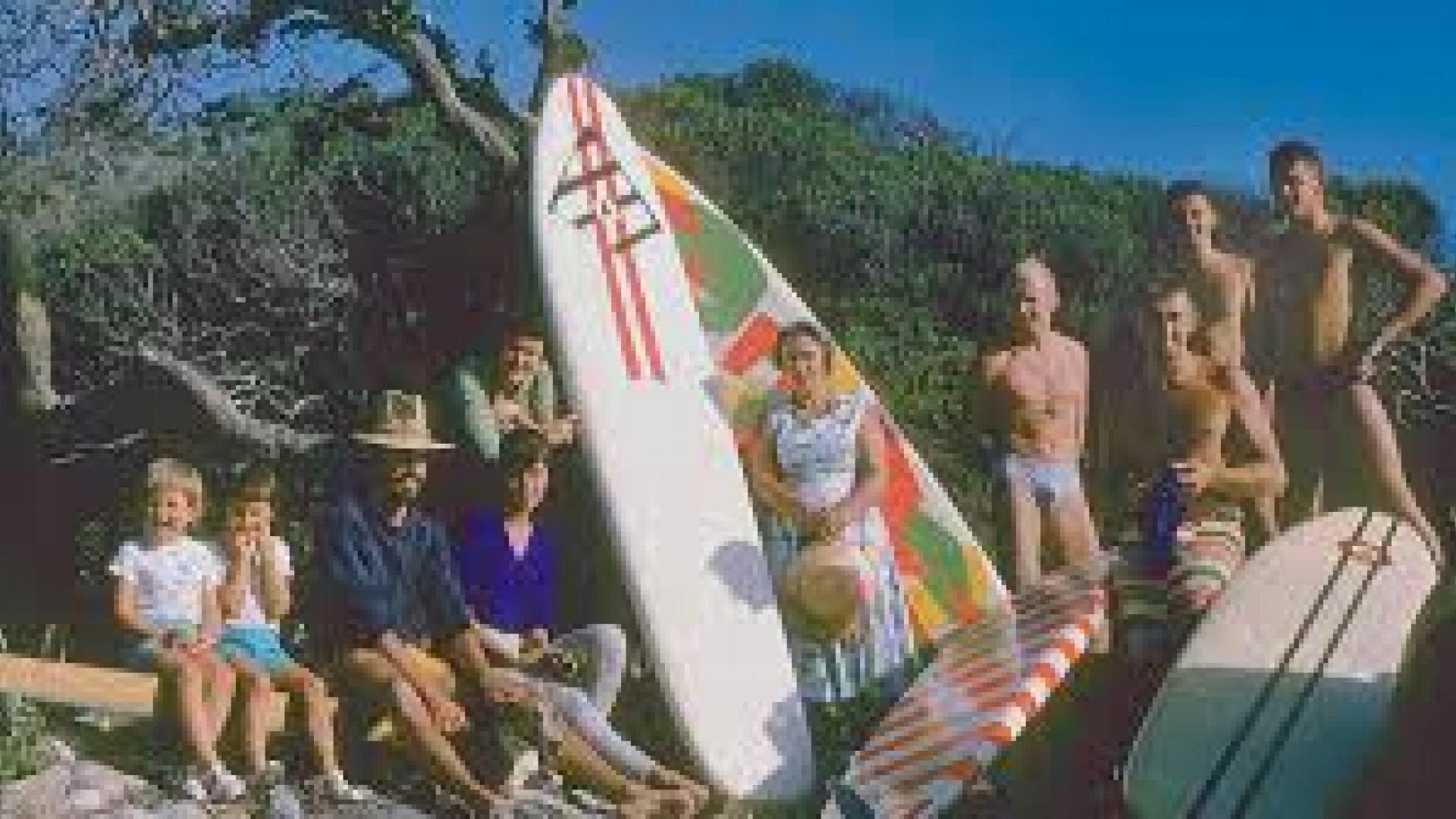WIPE OUT: Good on Wood + Birth of the Endless Summer