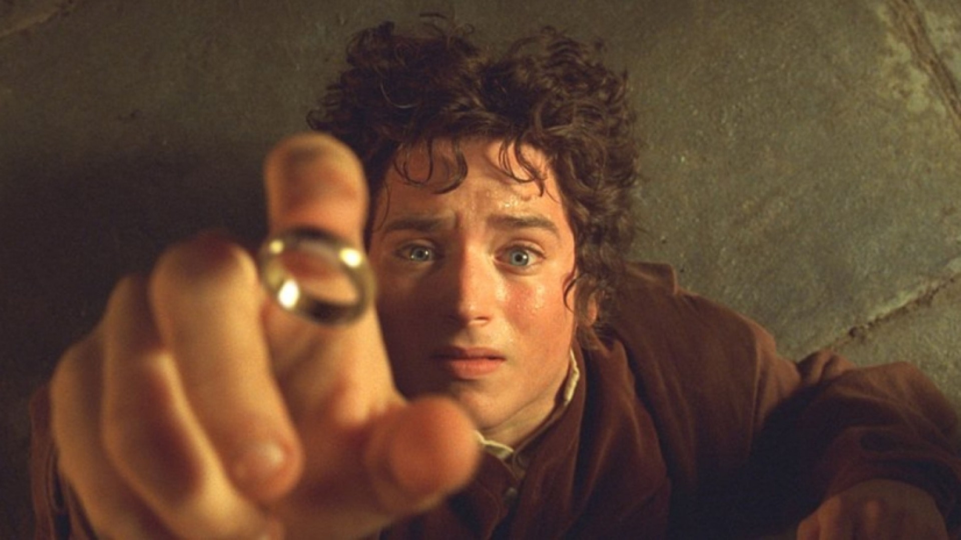 The Lord of the Rings: The Fellowship of the Rings