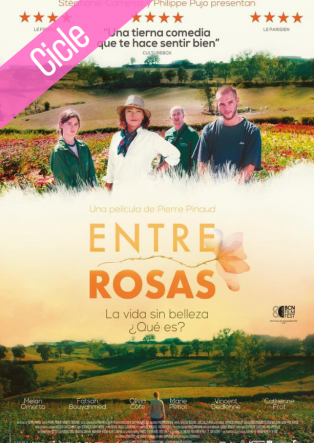 Entre Rosas