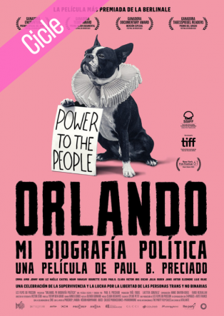 Orlando, My Political Biography