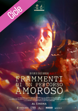 Fragmentos de una biografía amorosa