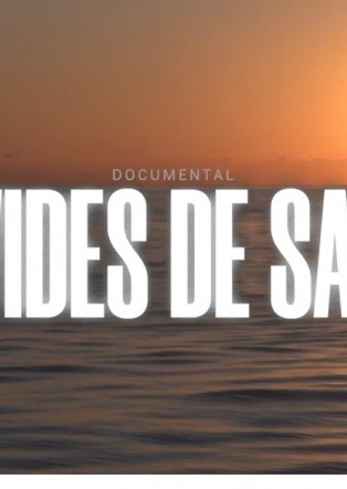 VIDAS DE SAL