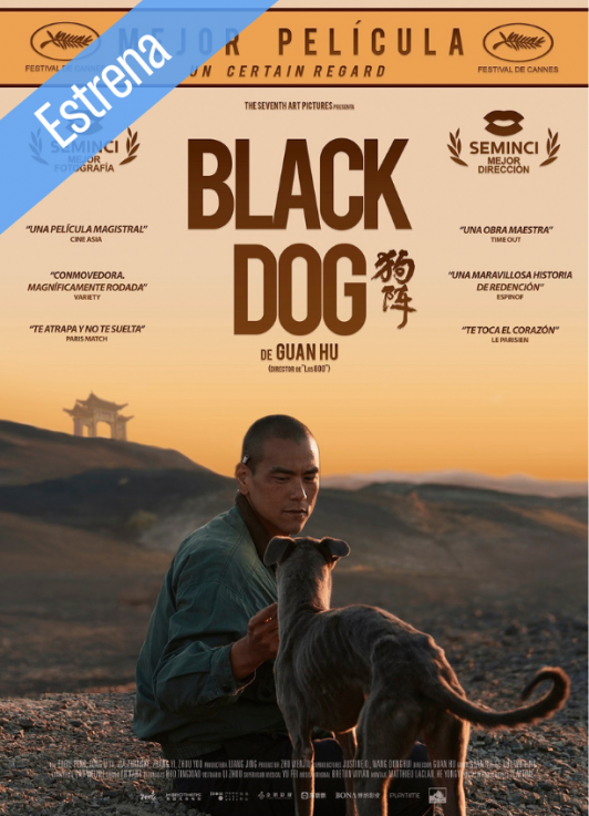 Black Dog