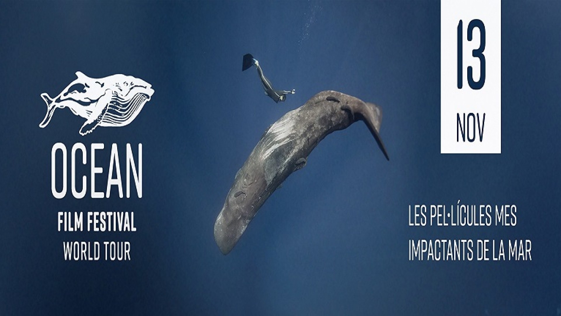 OCEAN FILM FESTIVAL WORLD TOUR MALLORCA 2025