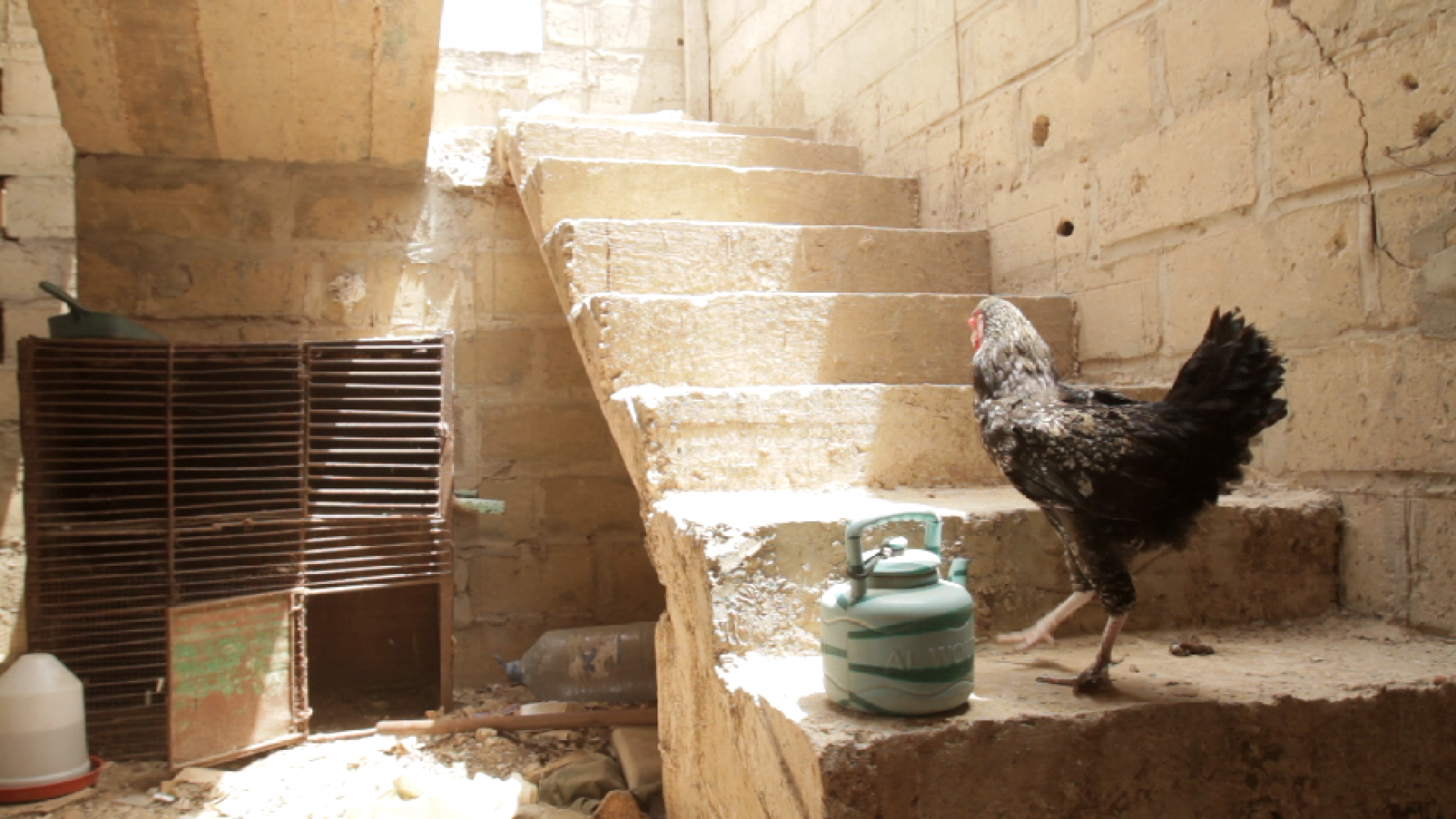 MAJORDOCS: LITI LITI