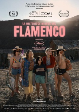 LA MISTERIOSA MIRADA DEL FLAMENCO