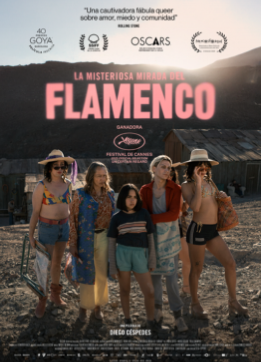 LA MISTERIOSA MIRADA DEL FLAMENCO