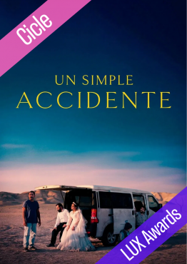 UN SIMPLE ACCIDENTE