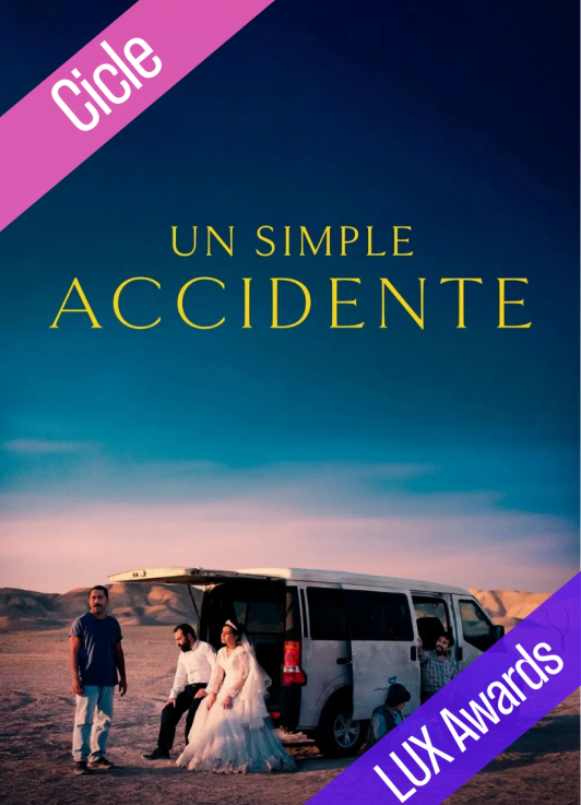UN SIMPLE ACCIDENTE